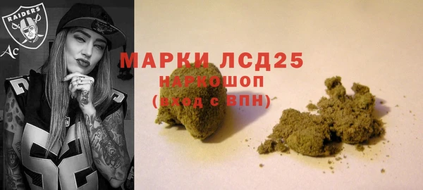 ПСИЛОЦИБИНОВЫЕ ГРИБЫ Горняк