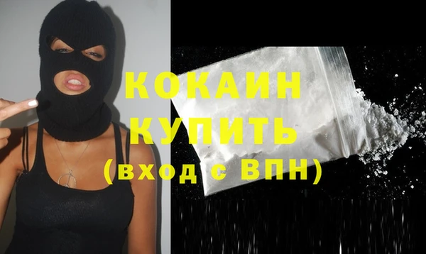 ПСИЛОЦИБИНОВЫЕ ГРИБЫ Горняк