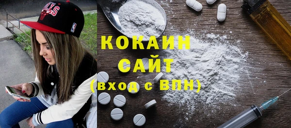ПСИЛОЦИБИНОВЫЕ ГРИБЫ Горняк