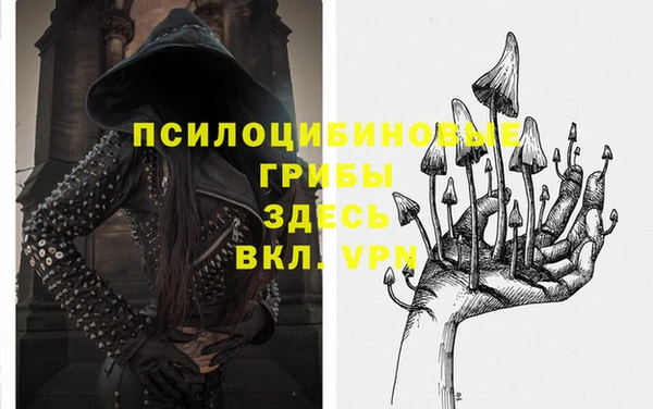 ПСИЛОЦИБИНОВЫЕ ГРИБЫ Горняк