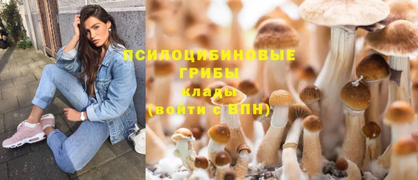 mdma Горнозаводск
