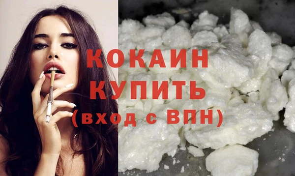 ПСИЛОЦИБИНОВЫЕ ГРИБЫ Горняк