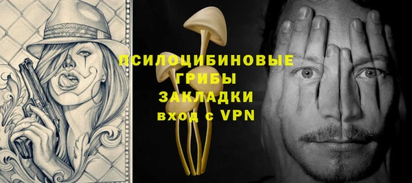 ПСИЛОЦИБИНОВЫЕ ГРИБЫ Горняк