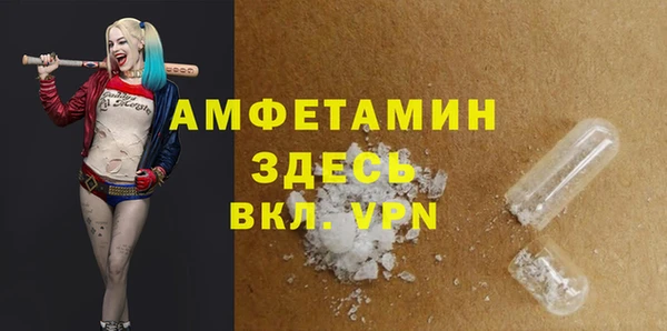 ПСИЛОЦИБИНОВЫЕ ГРИБЫ Горняк
