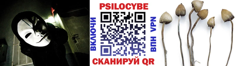 Купить где  Кондрово  Галлюциногенные грибы прущие грибы 